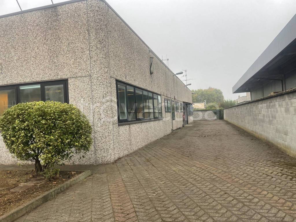 immagine annuncio 10 di 15