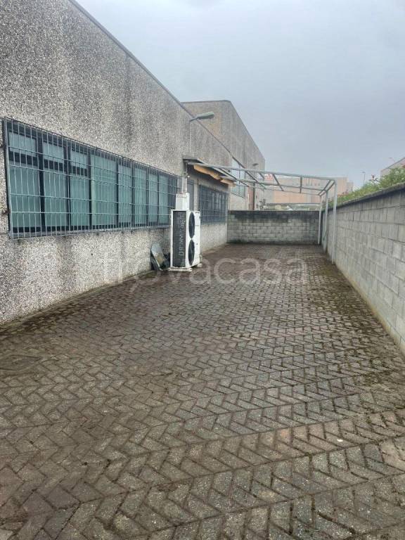 immagine annuncio 12 di 15