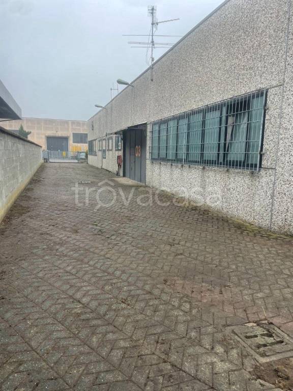 immagine annuncio 14 di 15