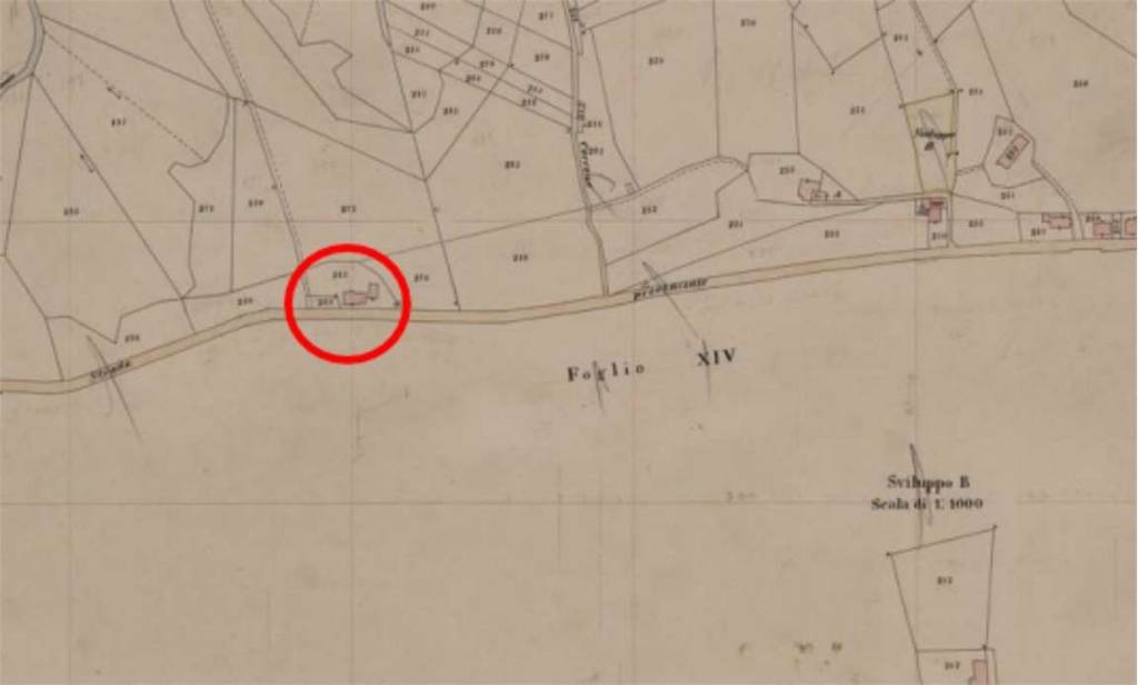 immagine annuncio 1 di 15