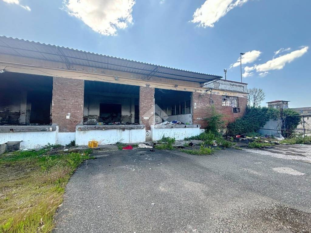 immagine annuncio 13 di 15