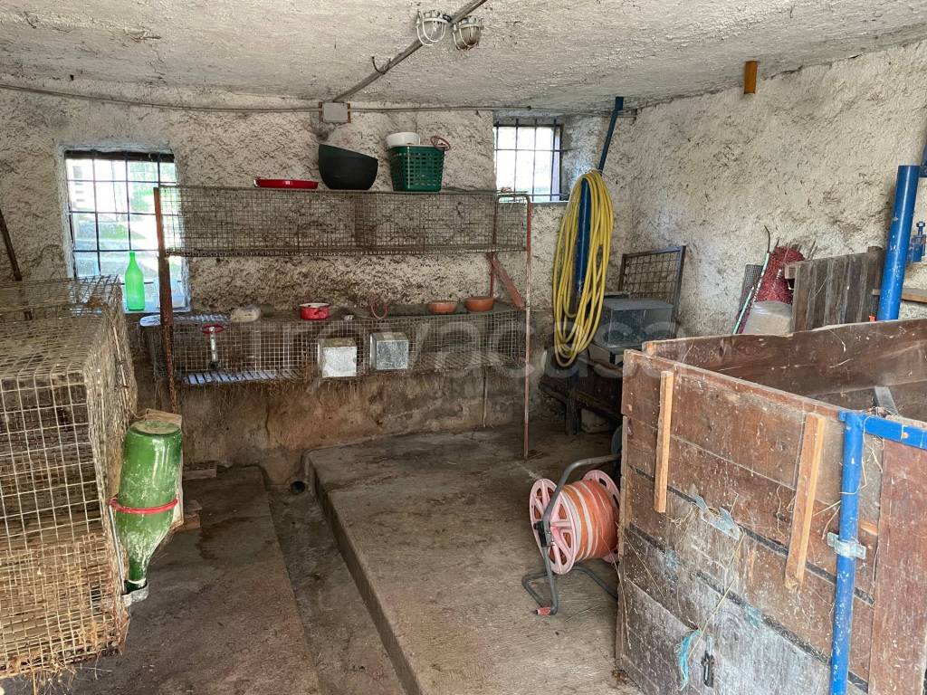 immagine annuncio 9 di 15