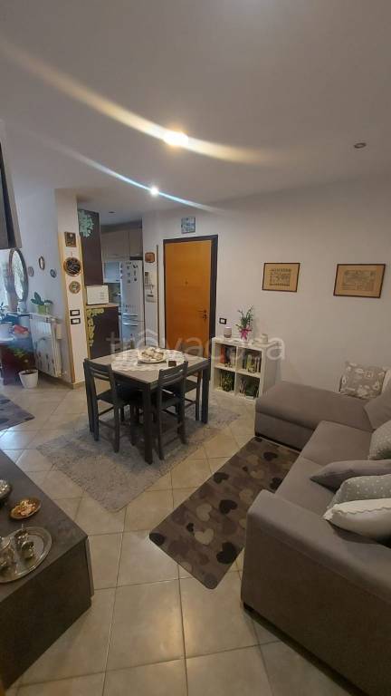 immagine annuncio 3 di 13