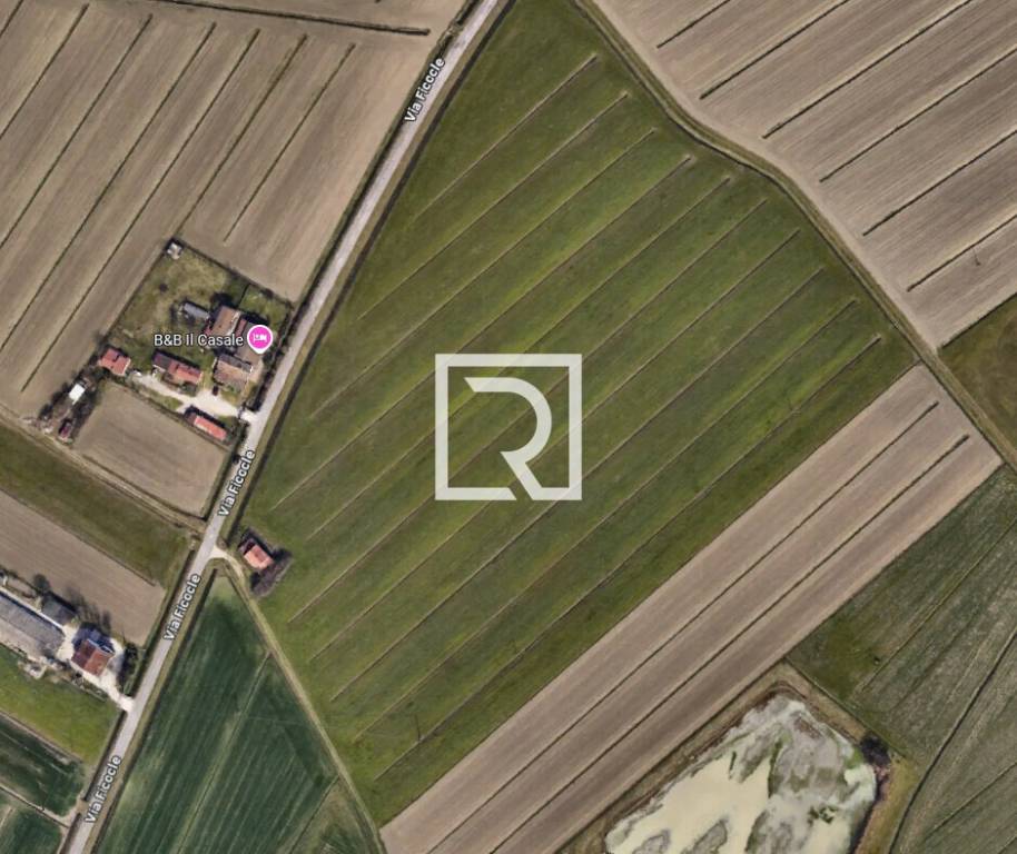 immagine annuncio 5 di 7