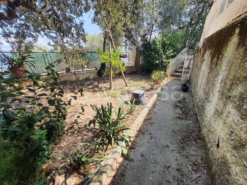 immagine annuncio 6 di 8