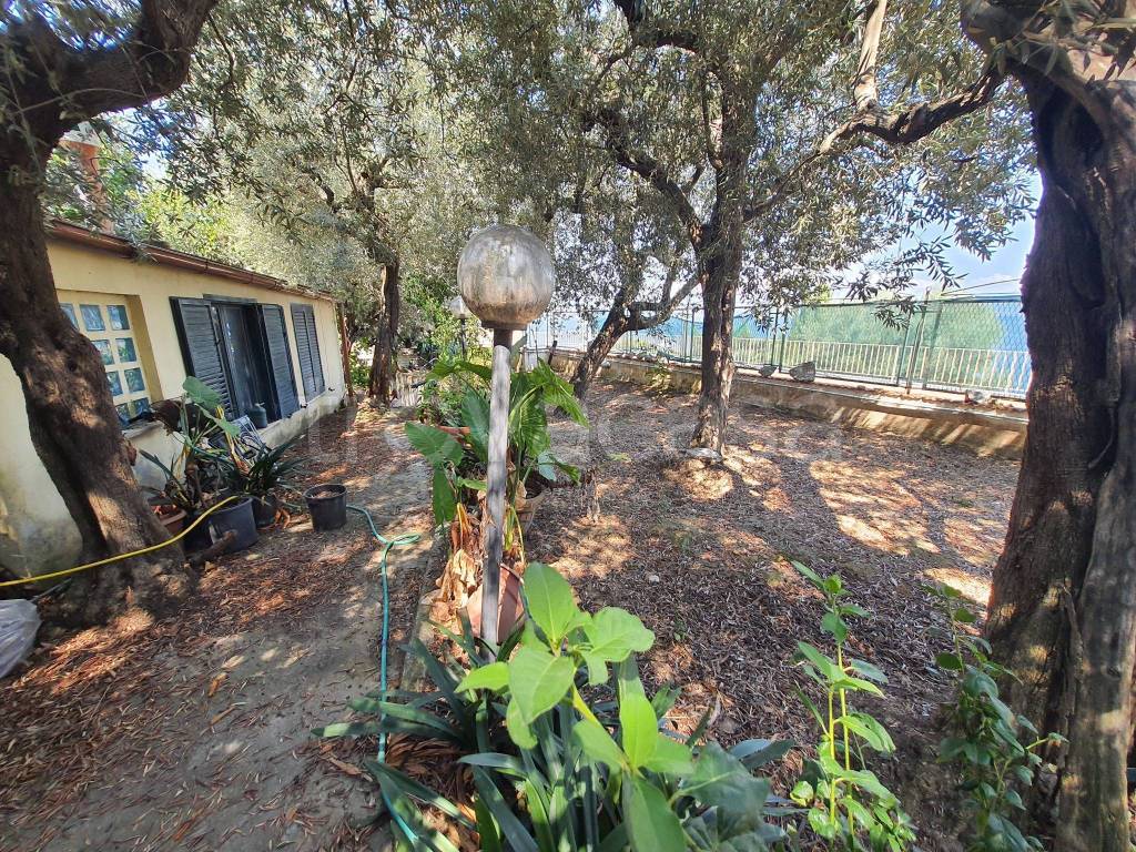 immagine annuncio 7 di 8