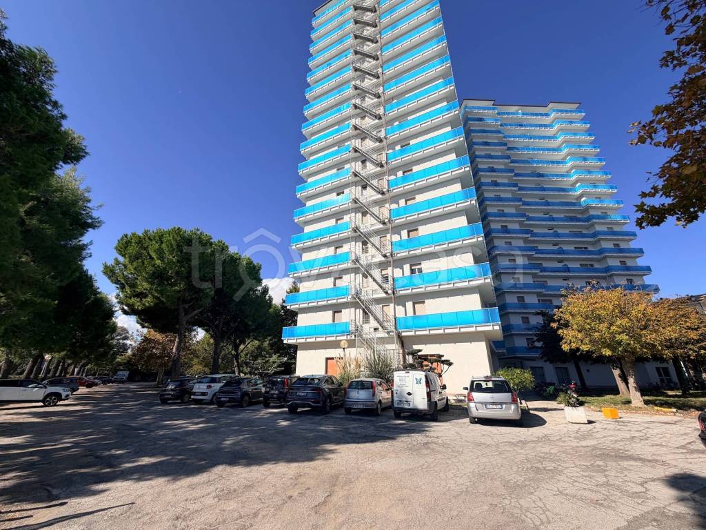 immagine annuncio 1 di 8