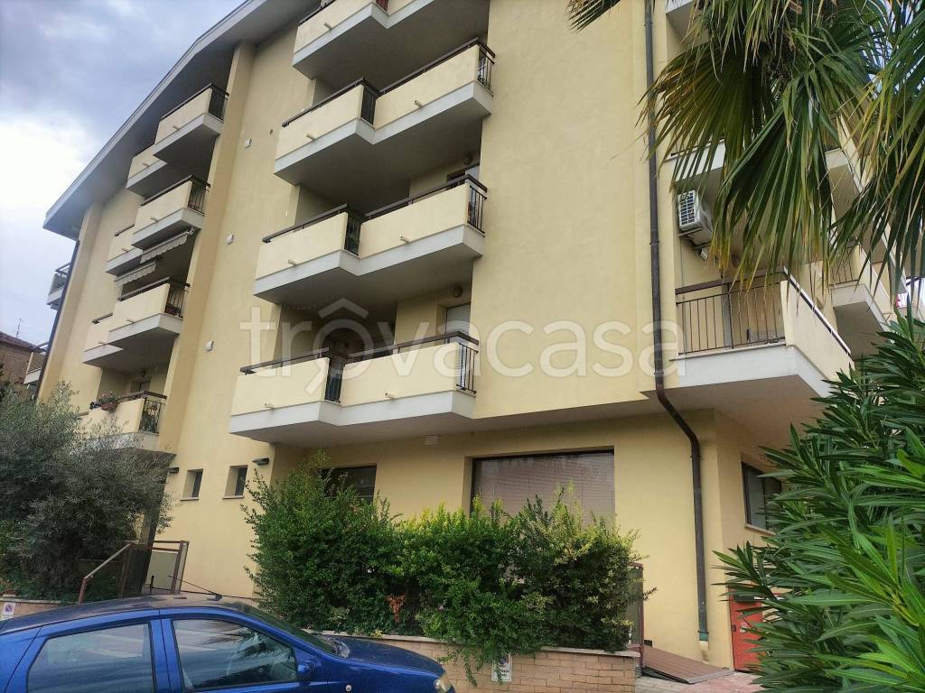 immagine annuncio 2 di 11