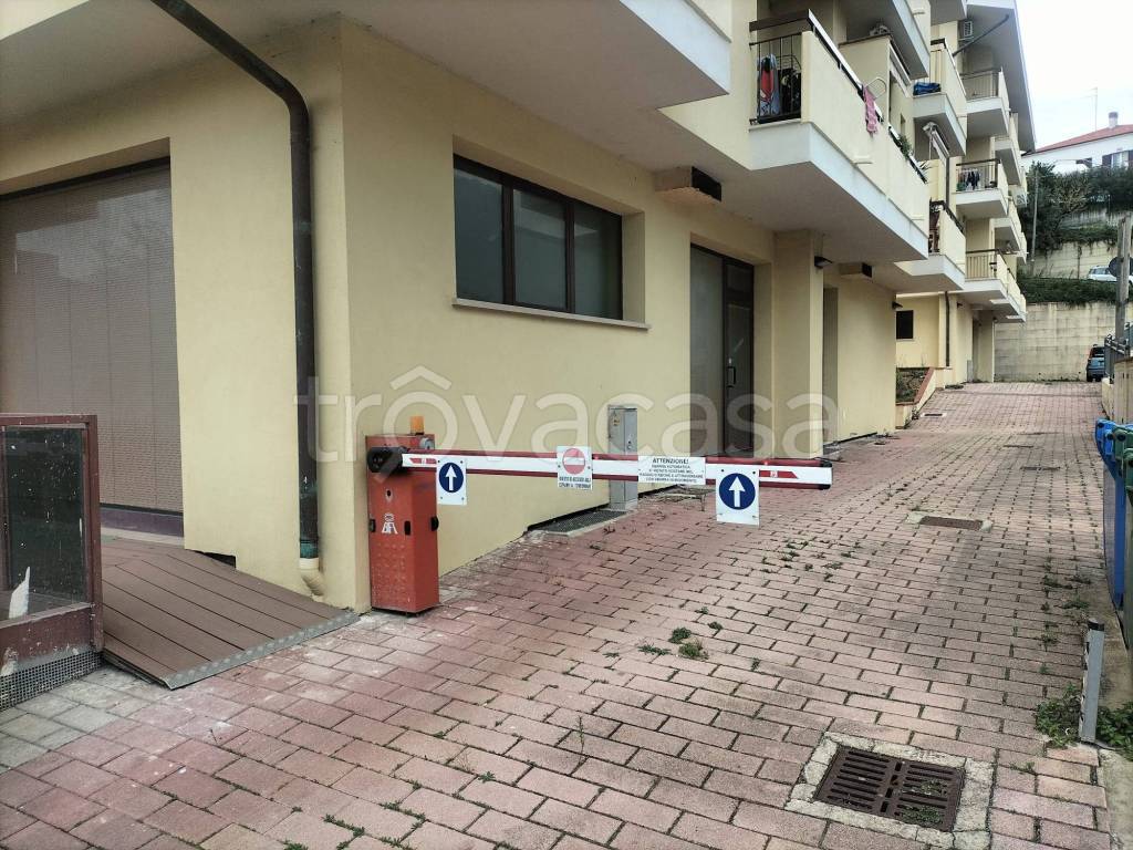 immagine annuncio 7 di 11