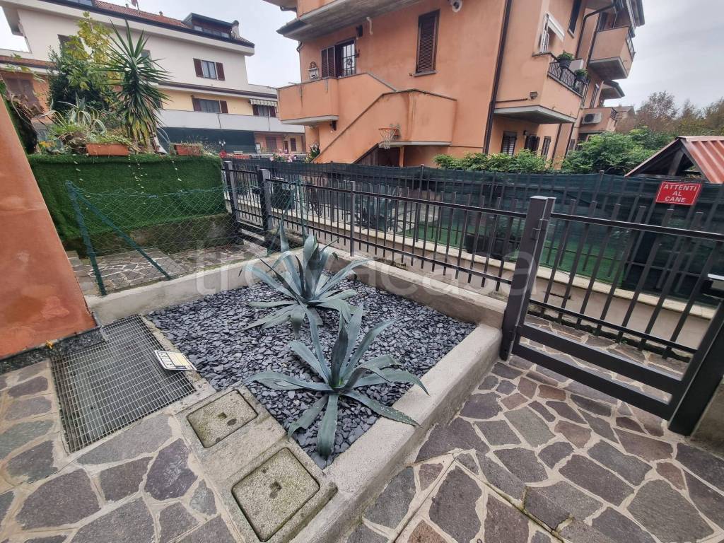 immagine annuncio 2 di 15