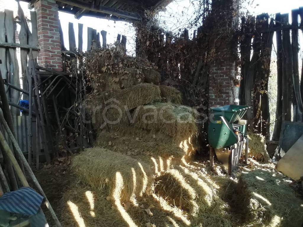 immagine annuncio 12 di 13