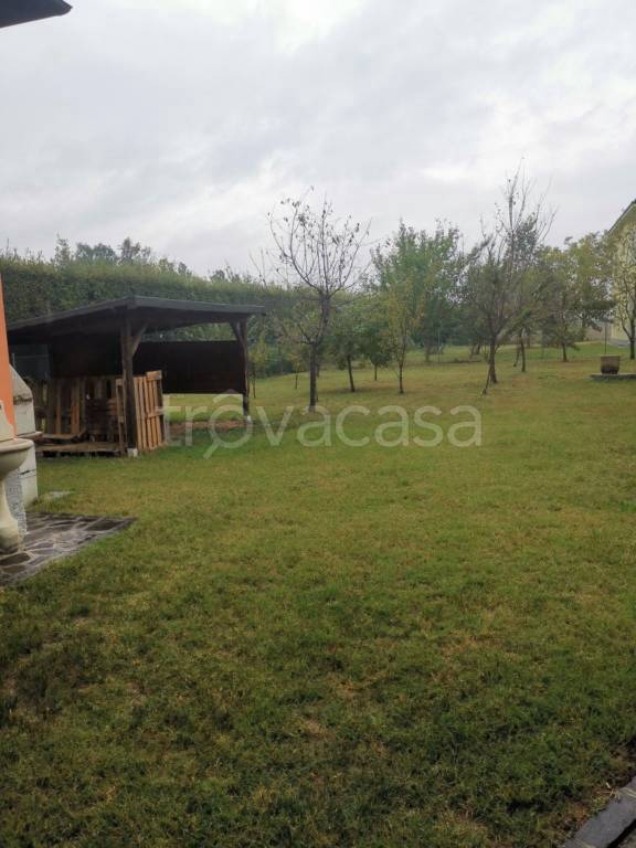 immagine annuncio 11 di 12