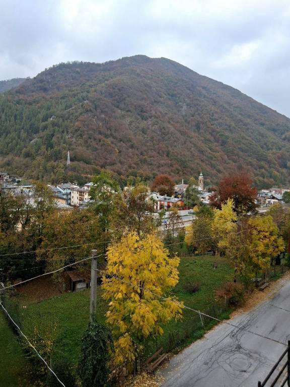 immagine annuncio 12 di 13