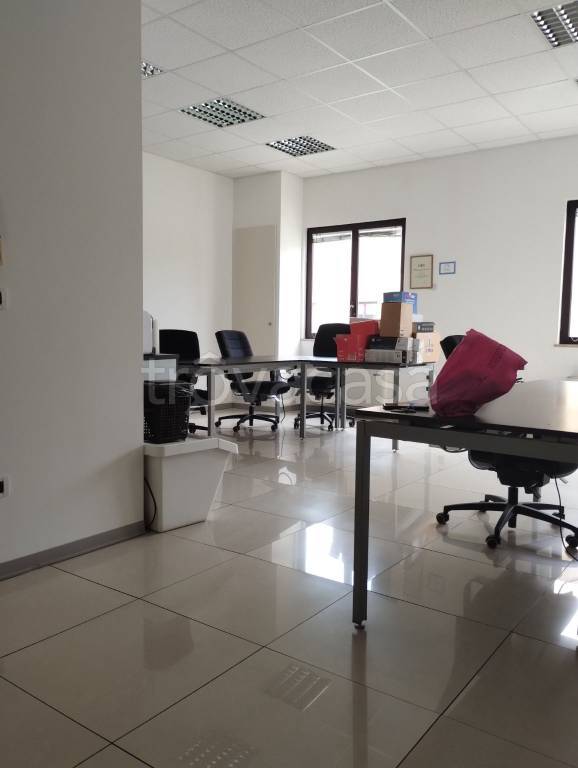 immagine annuncio 4 di 11