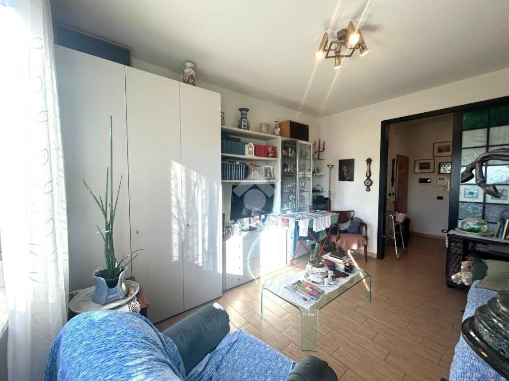 immagine annuncio 6 di 12