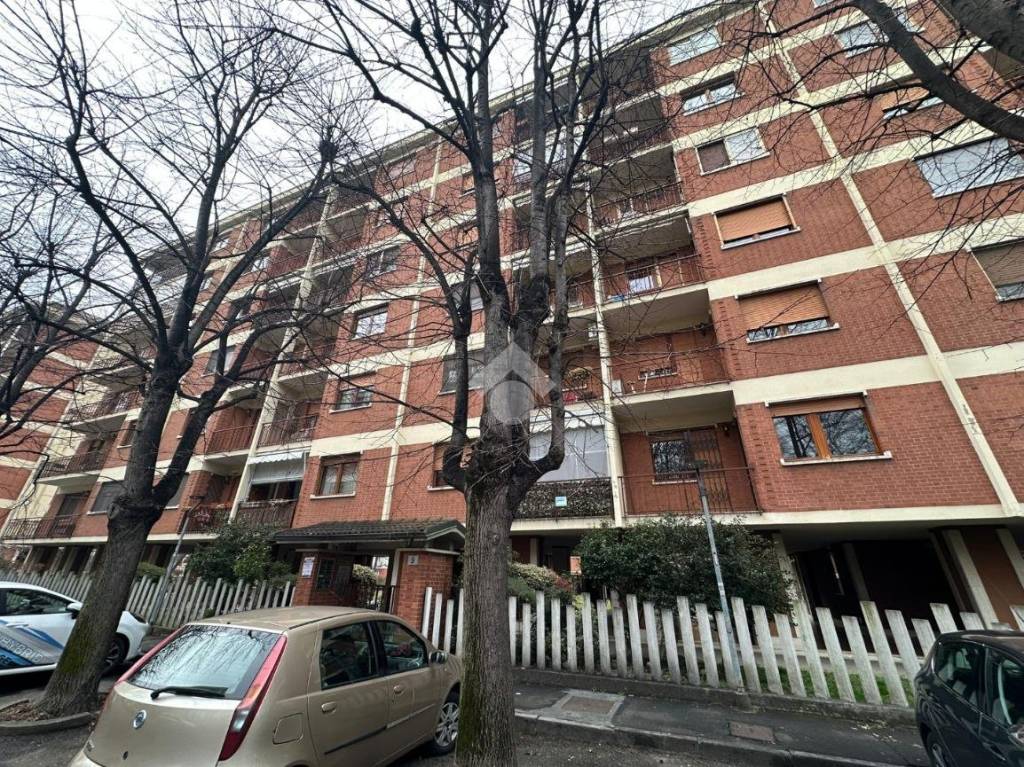 immagine annuncio 11 di 12