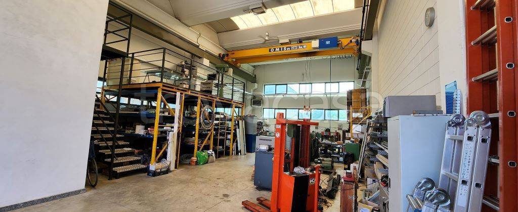 immagine annuncio 5 di 13