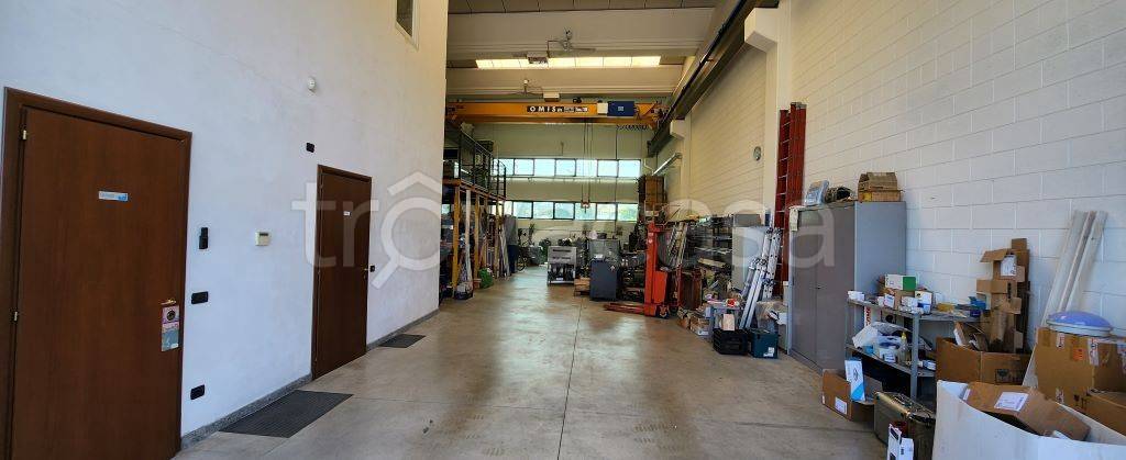 immagine annuncio 1 di 13