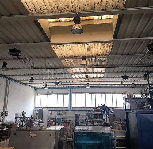 immagine annuncio 2 di 3