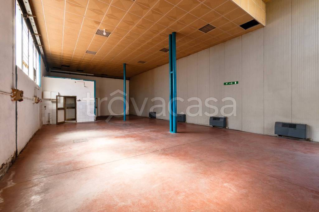 immagine annuncio 3 di 8