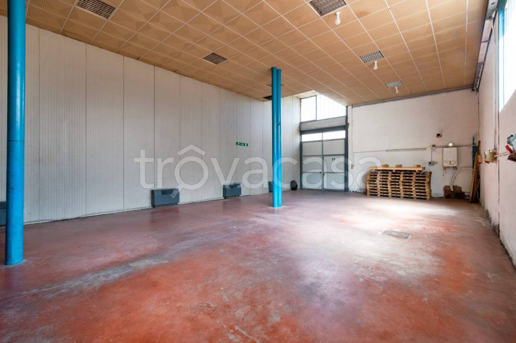 immagine annuncio 2 di 8