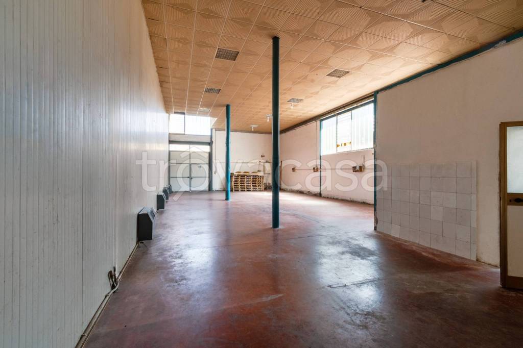 immagine annuncio 4 di 8