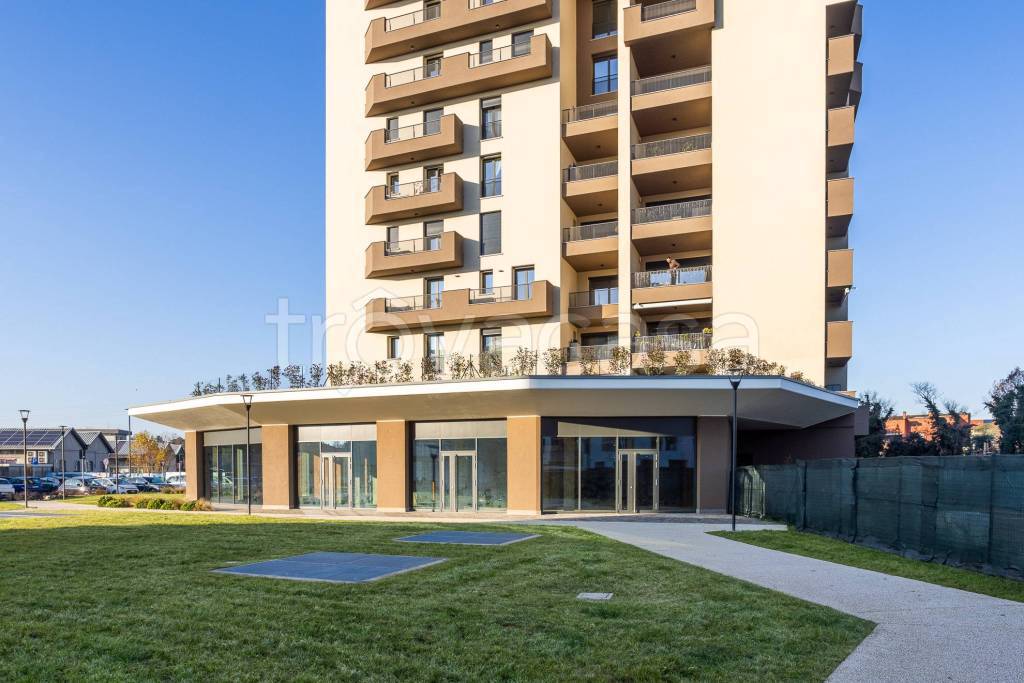 immagine annuncio 3 di 11