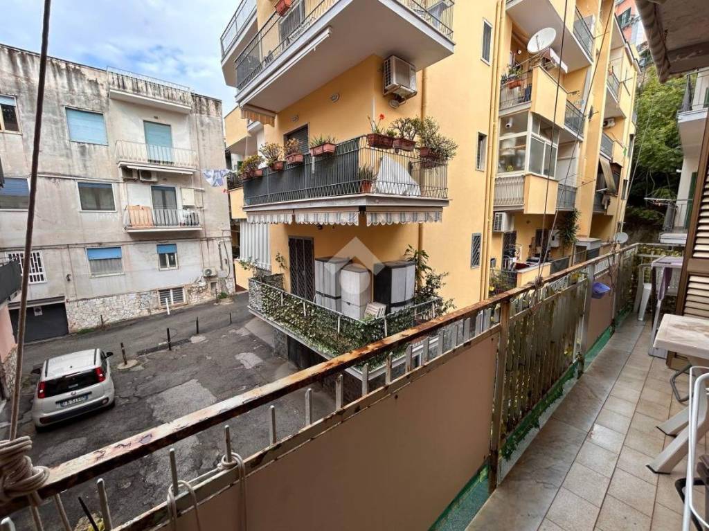 immagine annuncio 1 di 12