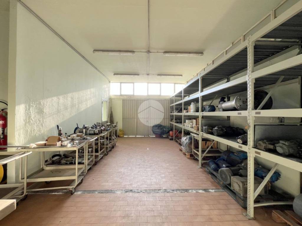 immagine annuncio 6 di 11