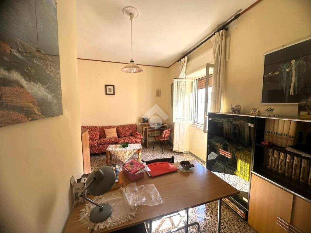 immagine annuncio 3 di 14