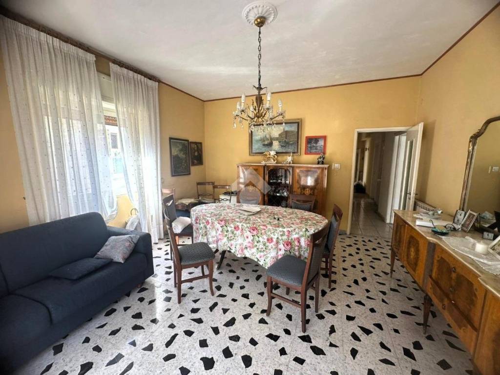 immagine annuncio 4 di 14