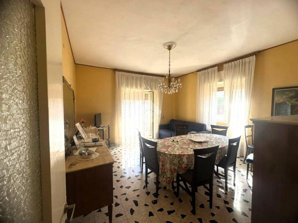 immagine annuncio 8 di 14