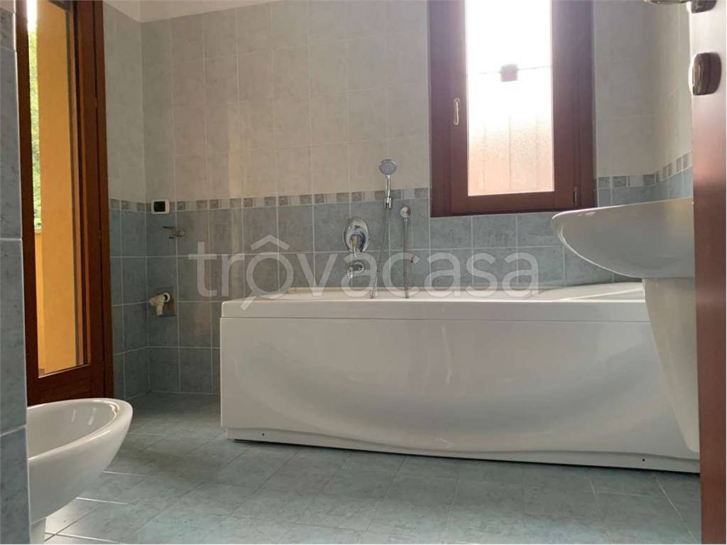 immagine annuncio 6 di 14