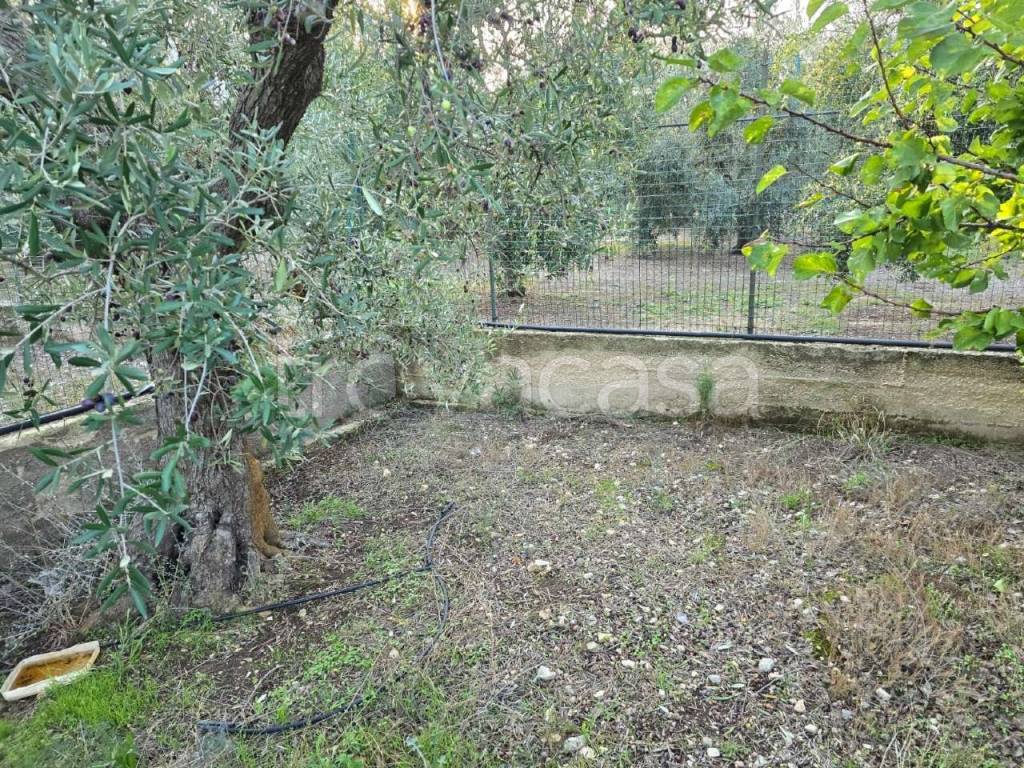 immagine annuncio 2 di 7