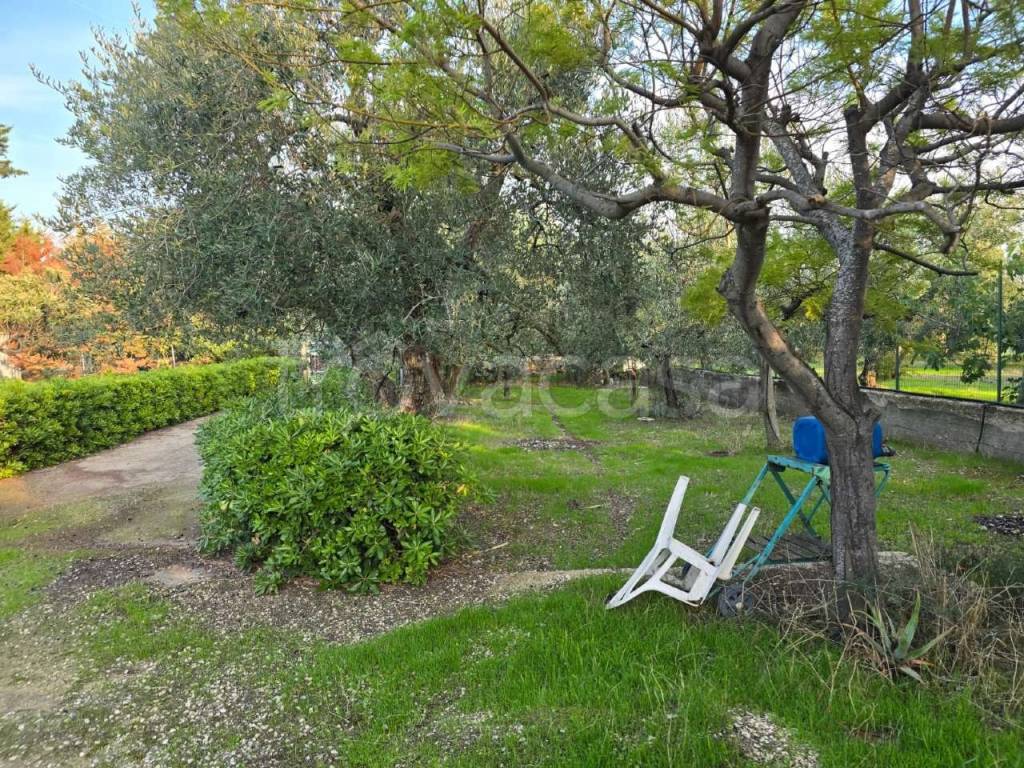 immagine annuncio 4 di 7