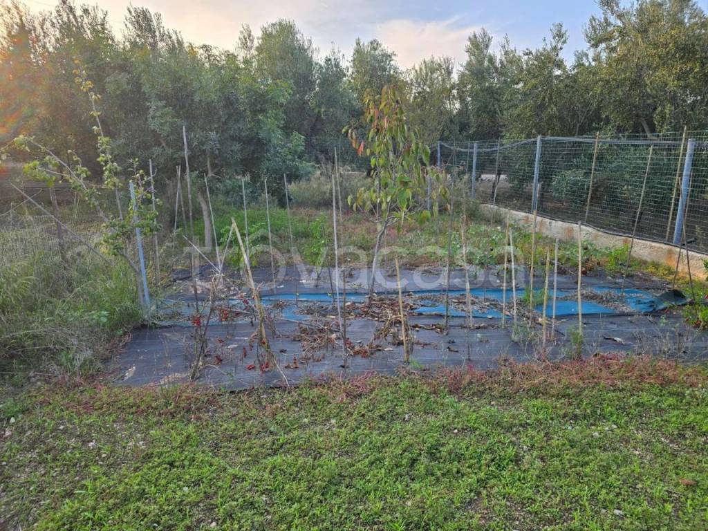 immagine annuncio 6 di 7