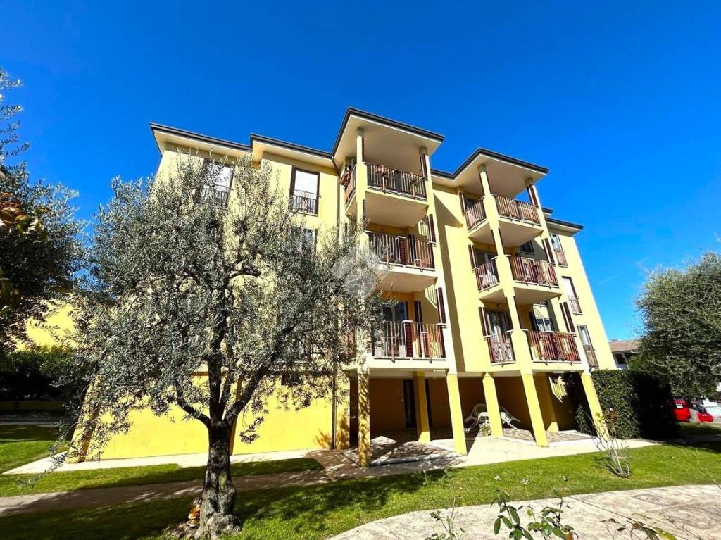 immagine annuncio 1 di 15