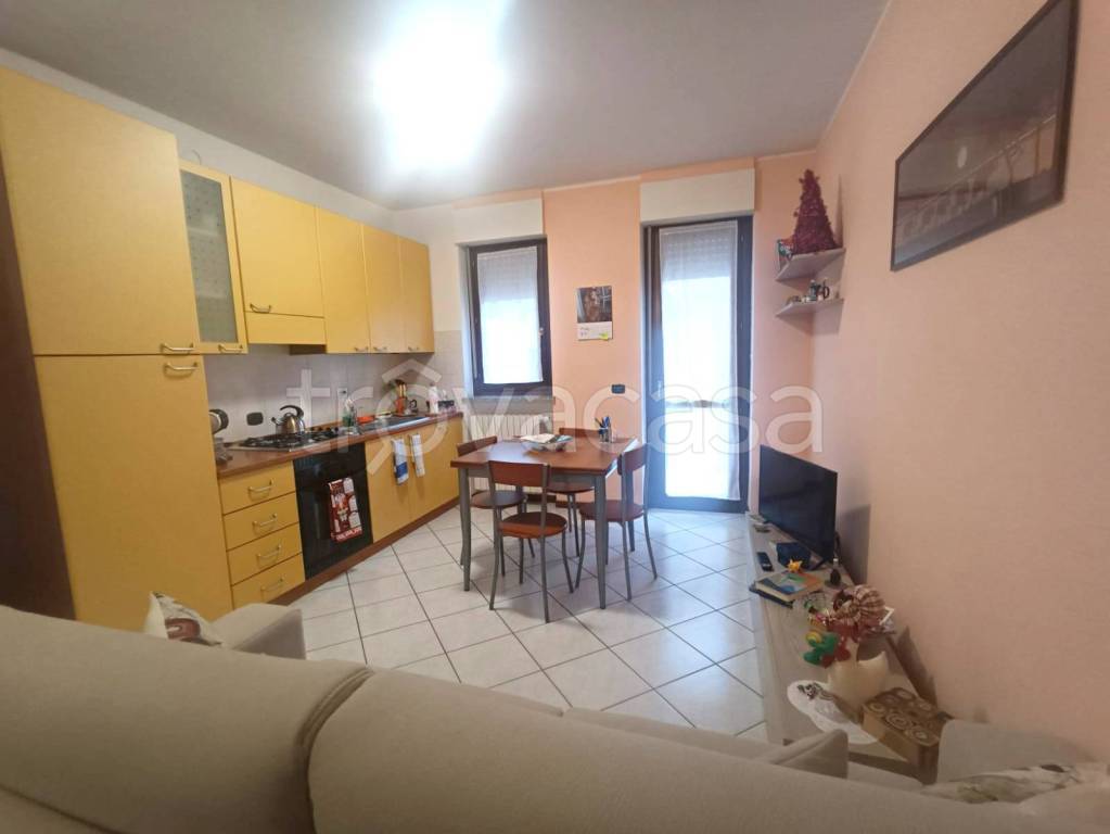 immagine annuncio 6 di 15