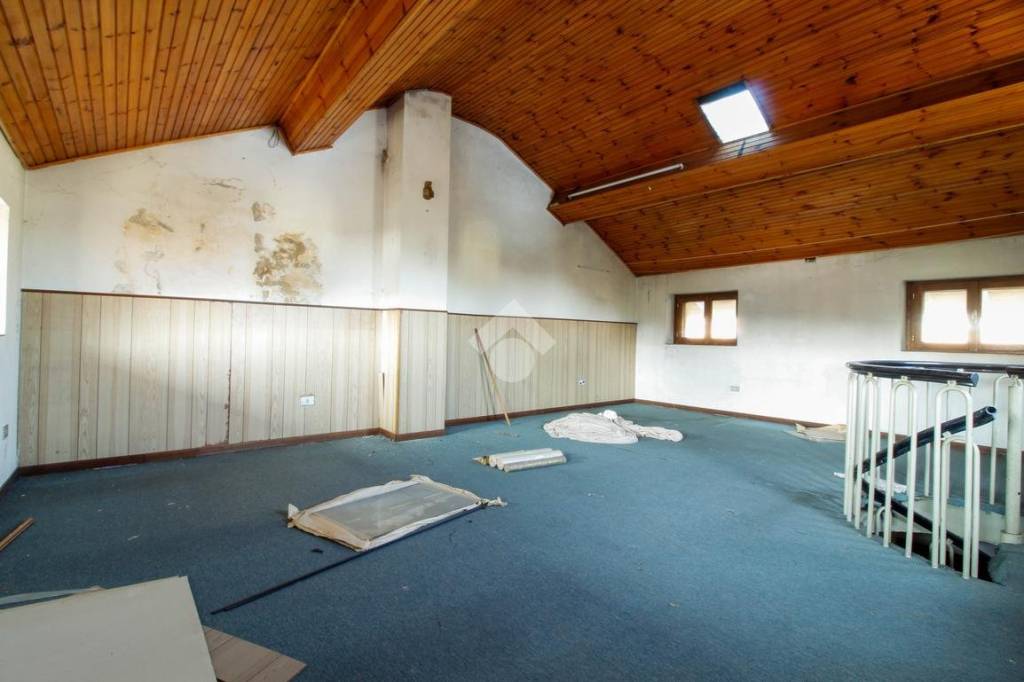 immagine annuncio 7 di 11