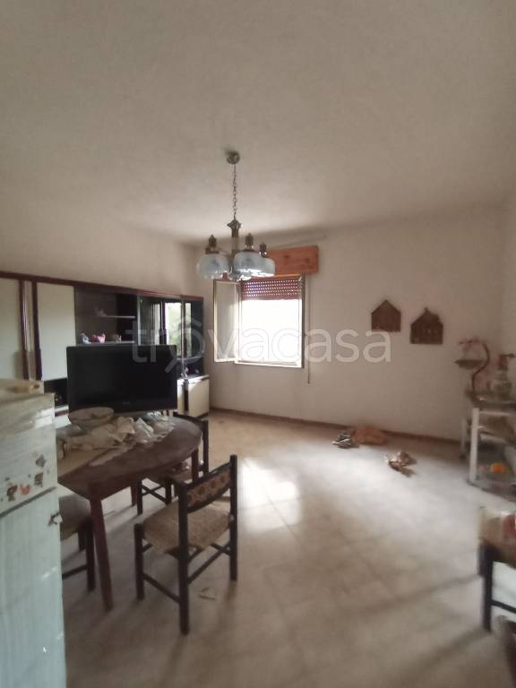 immagine annuncio 9 di 14