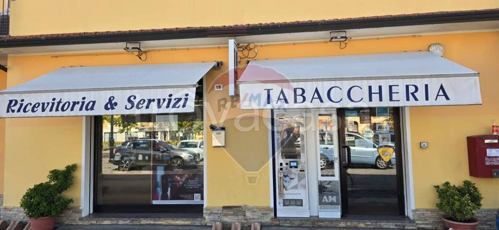 immagine annuncio 2 di 14