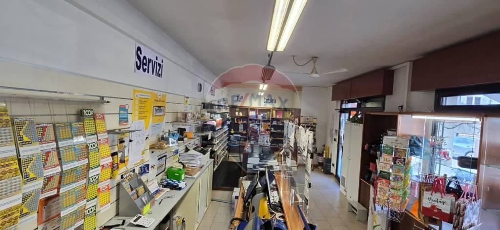 immagine annuncio 9 di 14