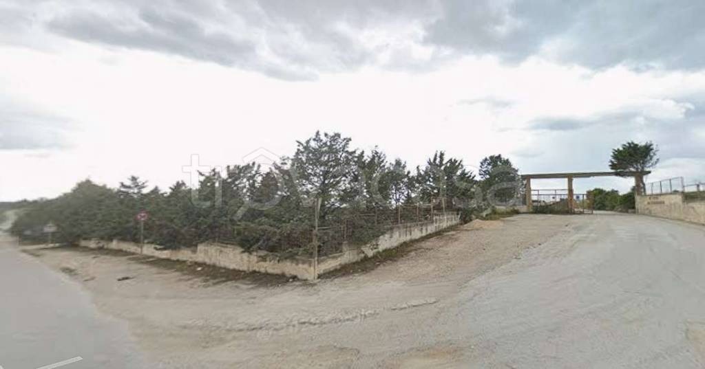 immagine annuncio 3 di 14