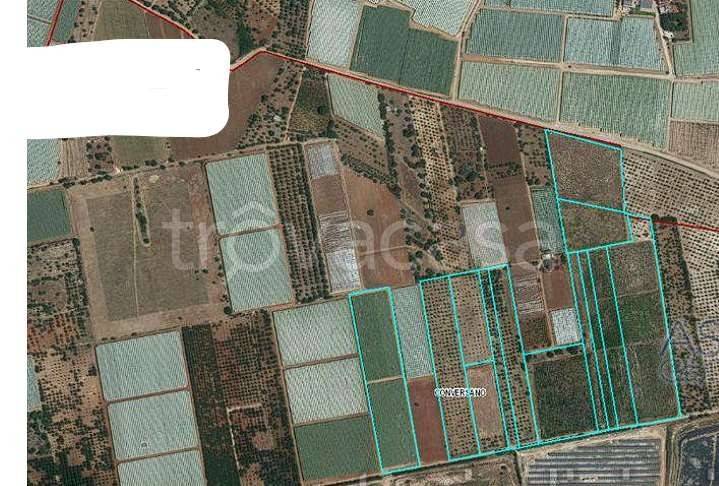 immagine annuncio 8 di 14