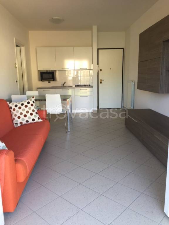 immagine annuncio 9 di 11