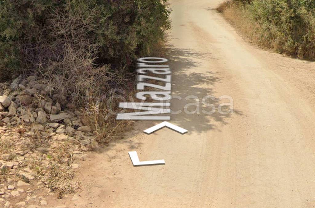 immagine annuncio 10 di 13