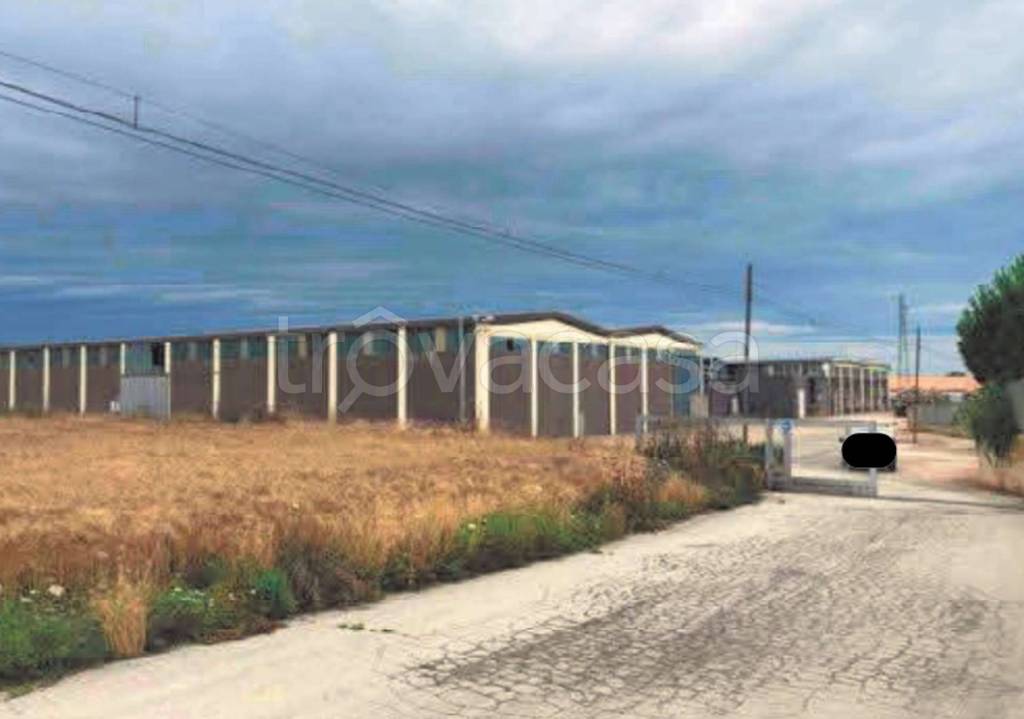 immagine annuncio 13 di 15