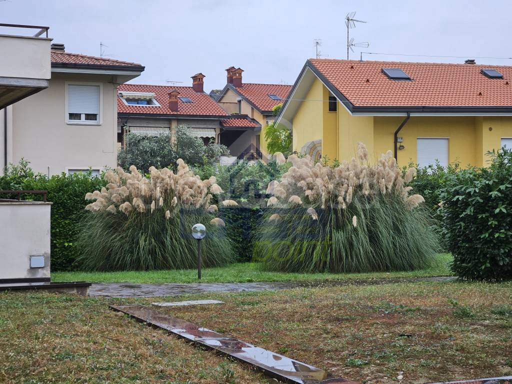 immagine annuncio 2 di 12