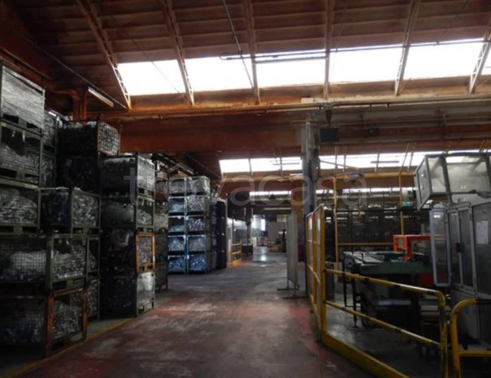 immagine annuncio 4 di 14