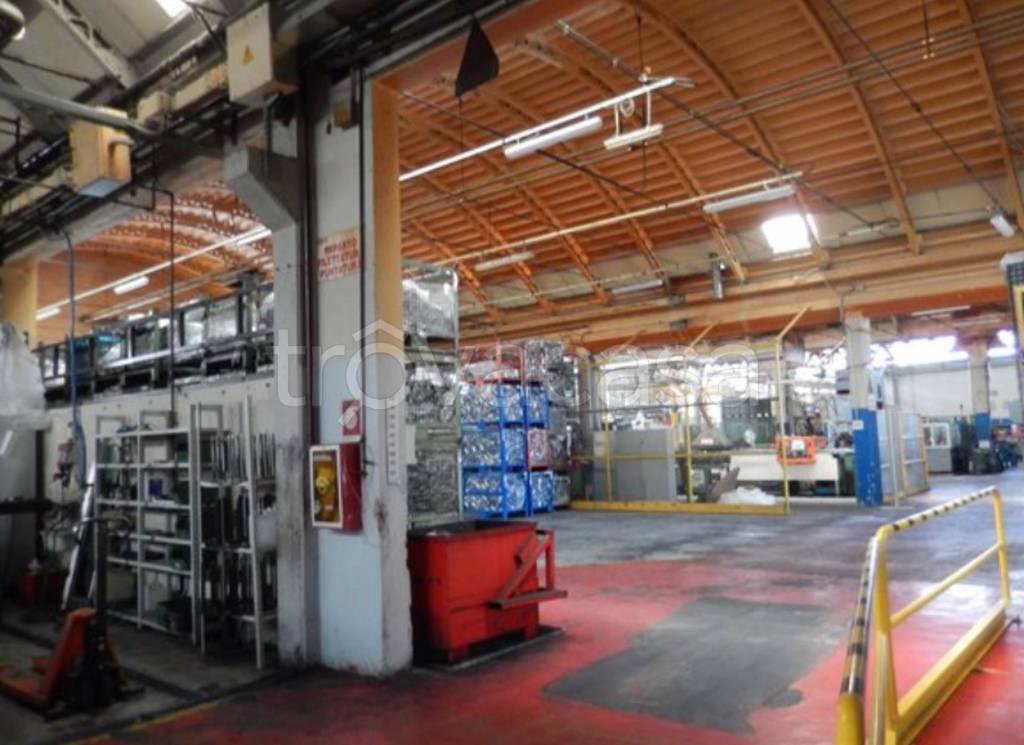 immagine annuncio 5 di 14